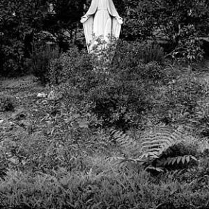 312_18-Mary-in-the-Weeds-300x300