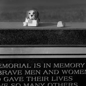343_34-dog-and-memorial-300x300