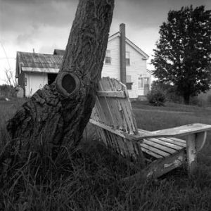 347_18_Tree_Chair-300x300