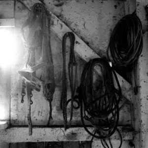 432_078_Cowden_Ropes_on_Wall-300x300