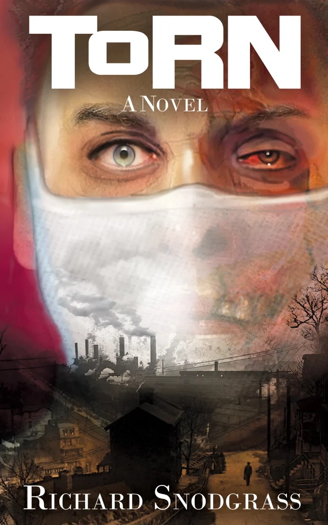 TORN Book Cover